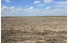 Property photo 86 - LAND AUCTION, 3255+/- Acres offered in 13 Tracts